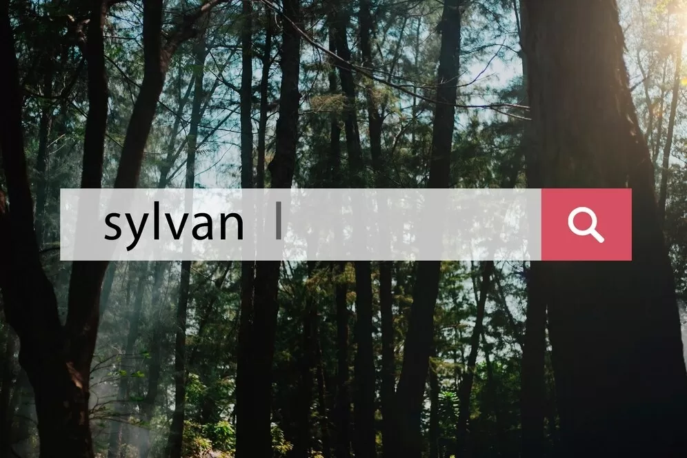 Google Sıralama